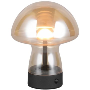 Trio DOOLEY R54981113 Tafellamp 1x1.5w/led 3000k 140lm ip20