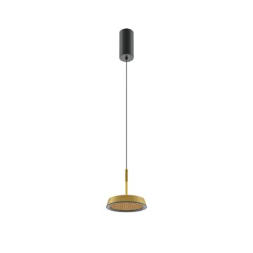 Maytoni El MOD041PL-L15G3K Hanglamp 1x12W/LED 3000K 700lm IP20