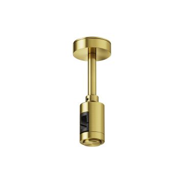 Maytoni Flarity TRA156C-B1-BS Ophanging IP20