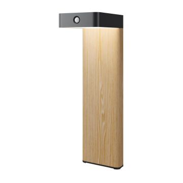Maytoni Nordis O140FL-L2BK1 Lampe sur pied 1x2W/LED 3000K 98lm IP65