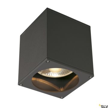 SLV THEO 229555 Plafonnier 1x75W/GU10/ES111 IP44