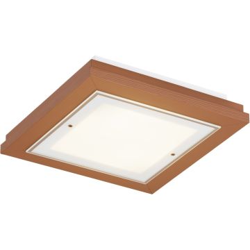 Argon TABOR 1867 Lampe de plafond 4x15W/E27 ip20